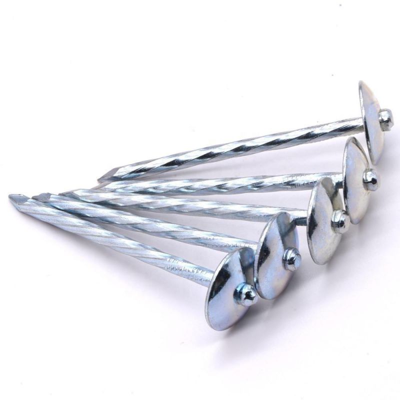 Angola Zambia Namibia Market/Galvanized Umbrella Head Roofing Nails Good Quality Roofing Umbrella Nails