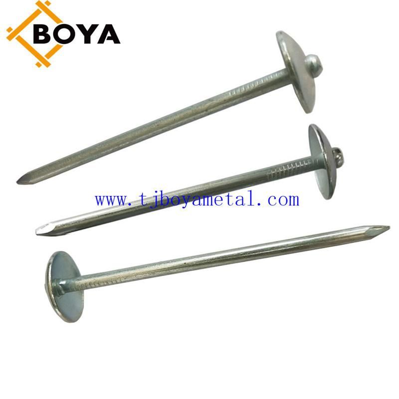 Direct Factory Supply Galvanized Corrugated Sheet Nails/Hot Sale Twisted Shank Umbrella Head Roofing Nails