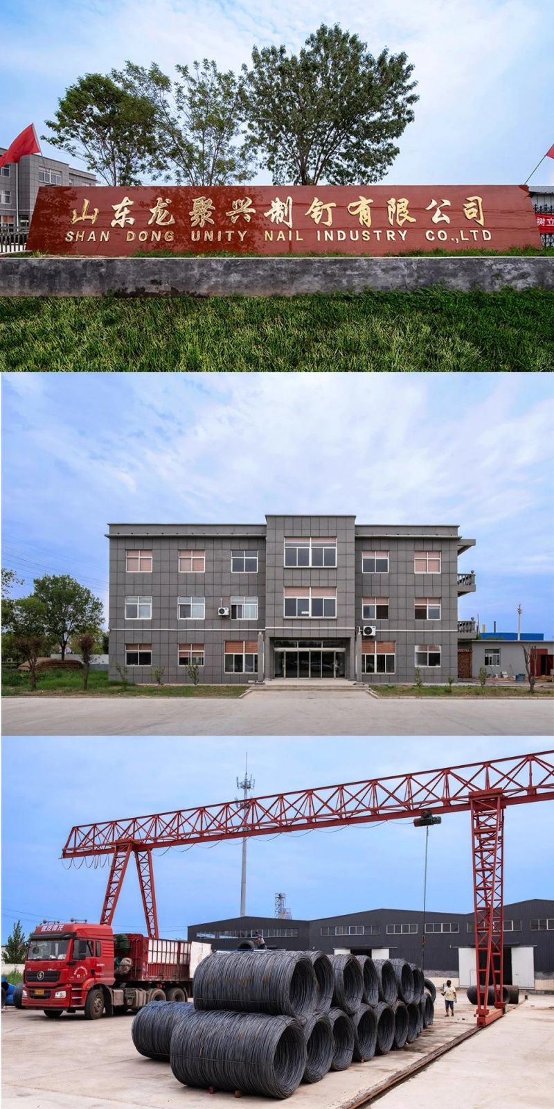 Galvanized Wire material 10j Series Staples From China Used for Sofa Frames and Wooden Board