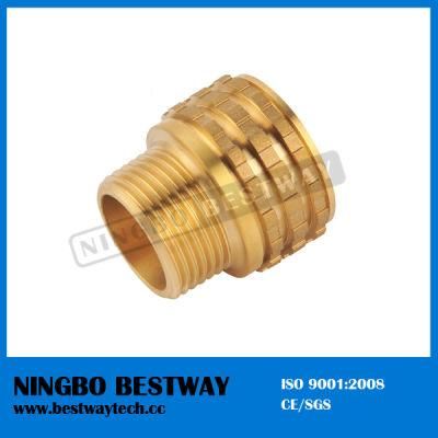 Brass Insert PPR Fitting Hot Sale (BW-729)
