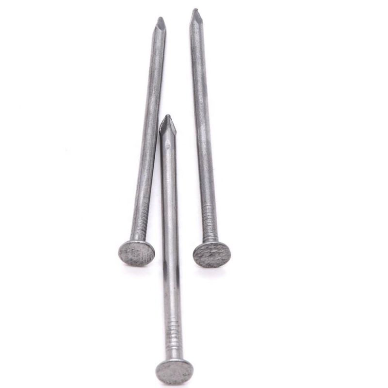 Zambia Namibia Market/Factory Supply Professional Wood Nails Nail Iron Common Wire Nails Supplier