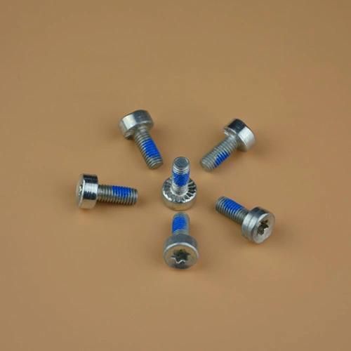 Terminal Cover Screw/Sealing Screw/Machine Screw/Meters Screw