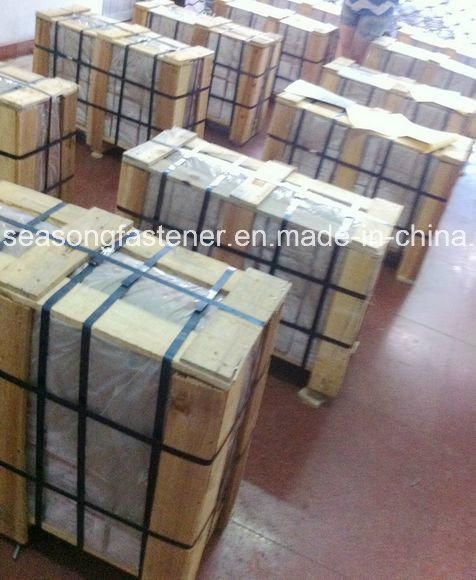 Stainless Steel Eye Bolt (DIN580)