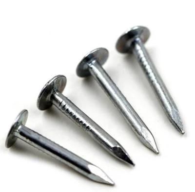 High Quality Harden Electric Galvanized Clout Nail
