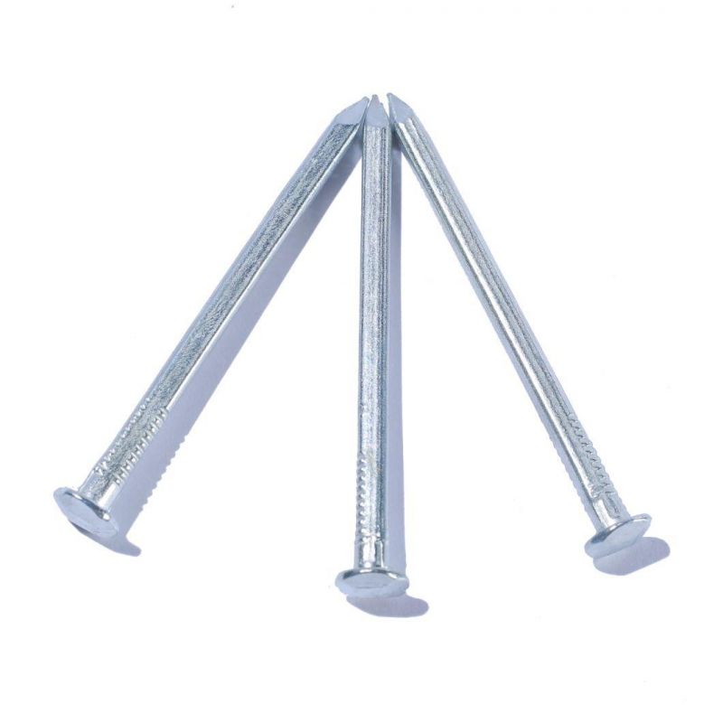 Myanmar Thailand Laos Singapore Market/Electro Galvanized Square Boat Nails for Boat Square Boat Nails
