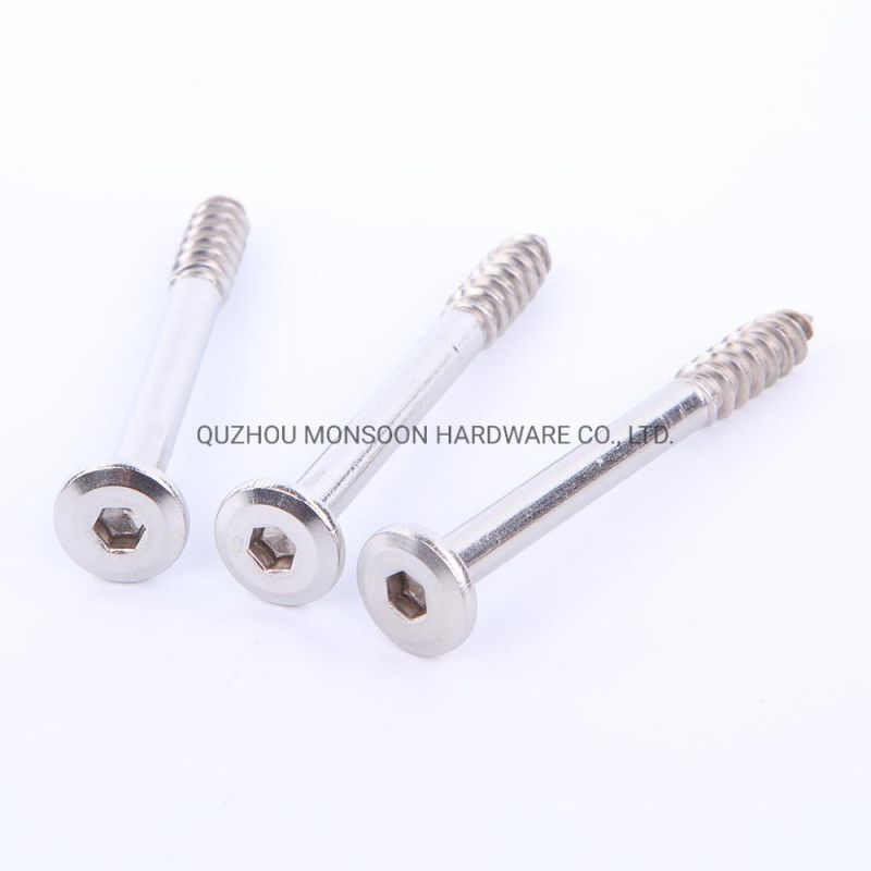 Stainless Steel Lag Screws