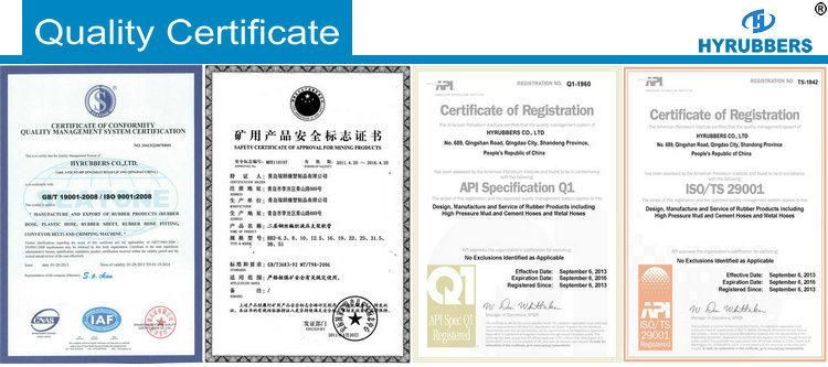 SAE 100 R1 R2 1sn 2sn Hydraulic Hose Assembly Fittings