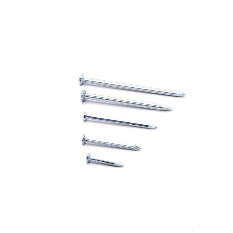 Factory Direct Sales Angular Spiral Steel Concrete Nails 4 Inch Concrete Nails