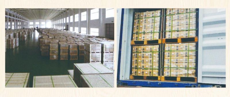 Pan Flange Truss Head Machine Screws