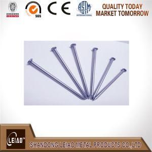 Factory Directly Sale All Sizes Common Wire Nails