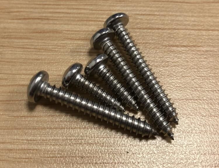Stainless Steel Phillips Pan Head Self Tapping Screws