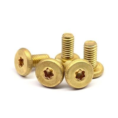 Brass Material Fasteners Large Flat Wafer Head Torx Machine Screw