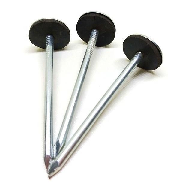 Namibia Market/Chinese Factory Supply Umbrella Roofing Nails Weight Nails with Galvanized Coating Galvanized Collated Roofing Nail