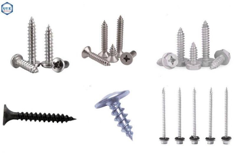 Stainless Steel 18.8 and Brass /Copper Hexagon Head Tapping Wood Screws DIN7976