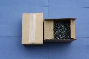 China Factory Supply Common Wire Nail Common Round Iron Wire Nails 60mm*2.8mm