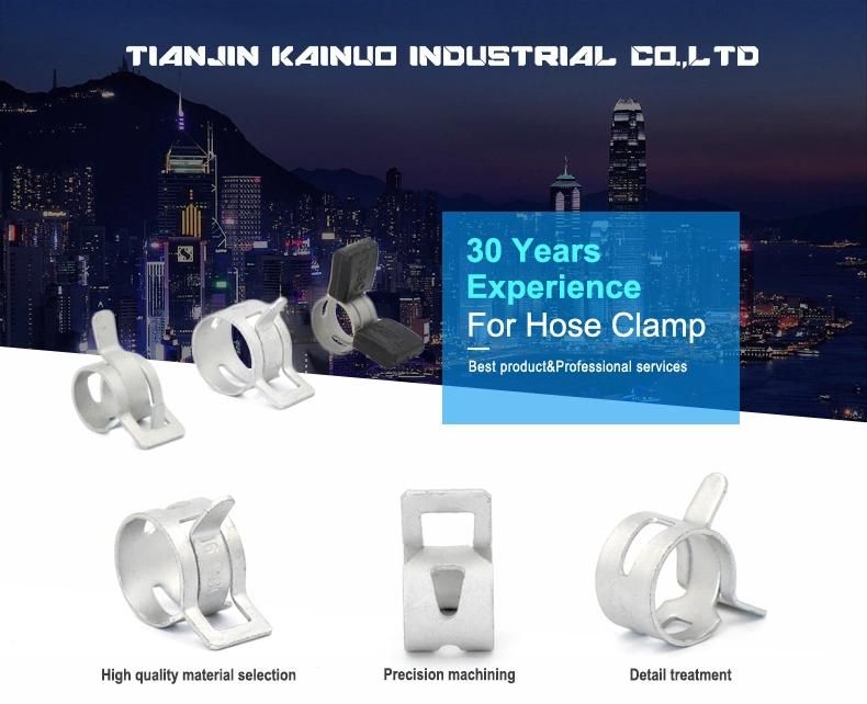 High Pressure Zin Plating Large Spring Hose Clip Clamps