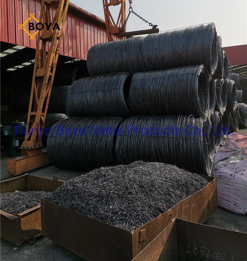 Umbrella Head Nail/Roofing Nail/Umbrella Nail/Clout Nail/Galvanized Roofing Nail/Building Nail/Construction Nail/Hardware/Nails