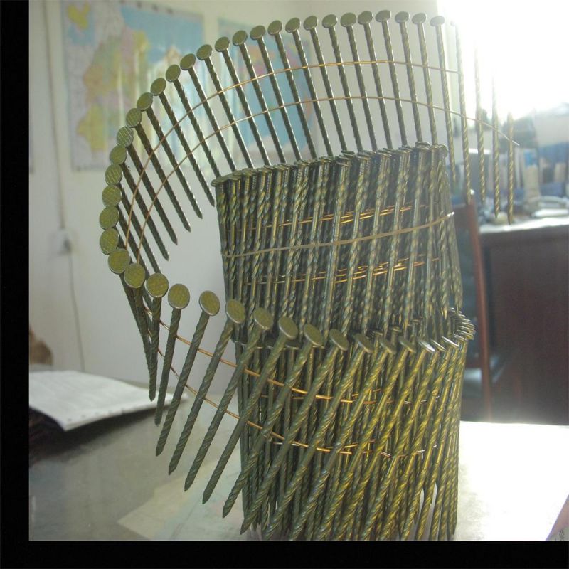 Thread Volume Nail/Polished Rod Coil Nail