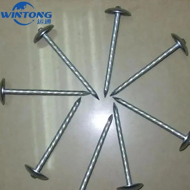 Galvanized Concrete Roofing Nails Wire Nail with High Quality and Competition Price Stainless Steel Nails in China