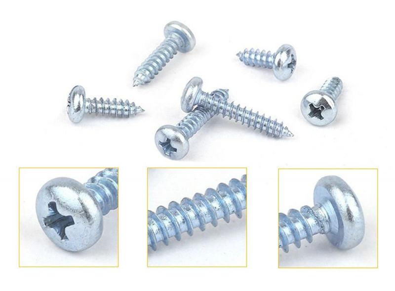 High Qualitypan Head Phillips Drive Blue Clear Bright Zinc Plated Self Tapping Sheet Metal Screw Factory
