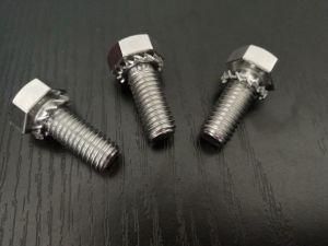 Hex Cap Screw Assembled with Lock Washer with External Serrated Teeth in Stainless