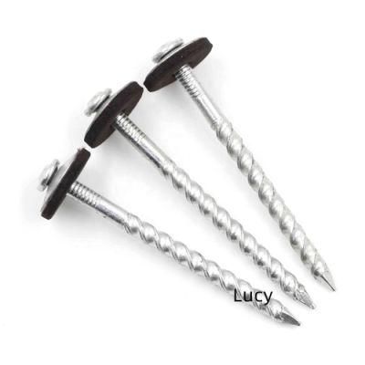 South Africa 65mm/90mm/120mm 100PCS/Box Roof Screw Nail with EVA Washer