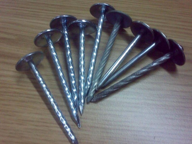 Roofing Nail for Umbrella Tip, Roofing Nail Manufacturing, Roonfing Nail Wholesale