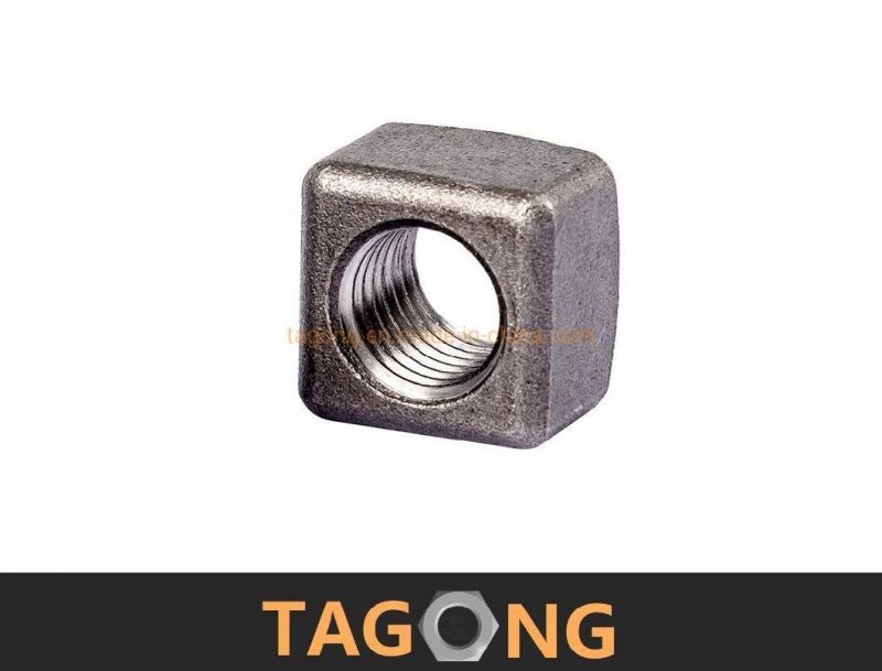 Carbon Class12 6h M24 Square Nuts Truck Nuts