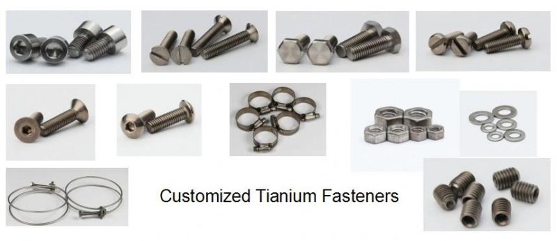 Customized Ti -6al-4V Titanium Alloy Fasteners Titanium Alloy Hexagon Bolts