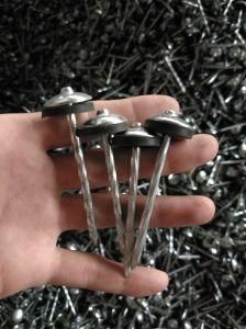 Galvanized Roofing Nail with Rubber Wahser