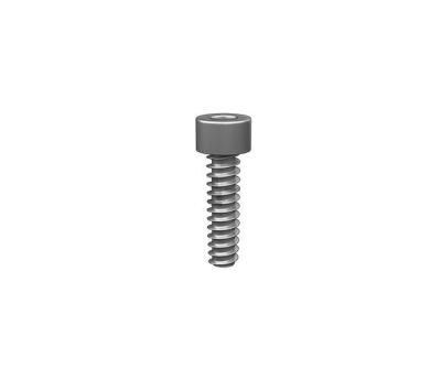 Round Hex Head Self Tapping Screw Suit for Allen Keys