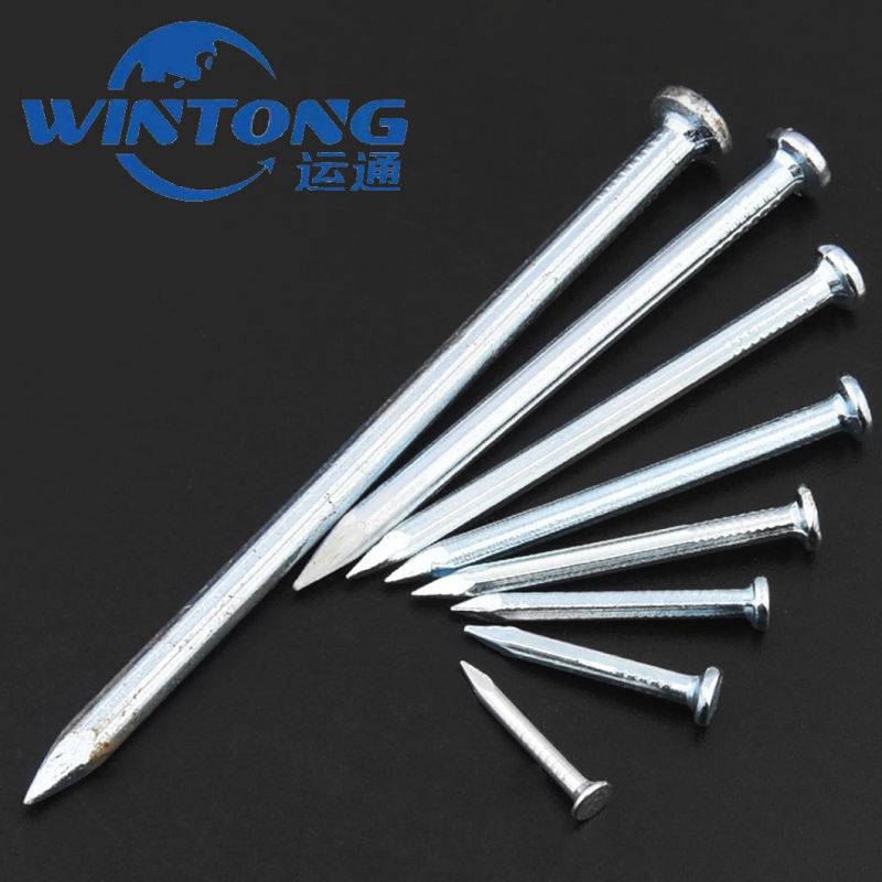 Direct Manufacturer Galvanized Concrete Nail Galvanised Steel Nails
