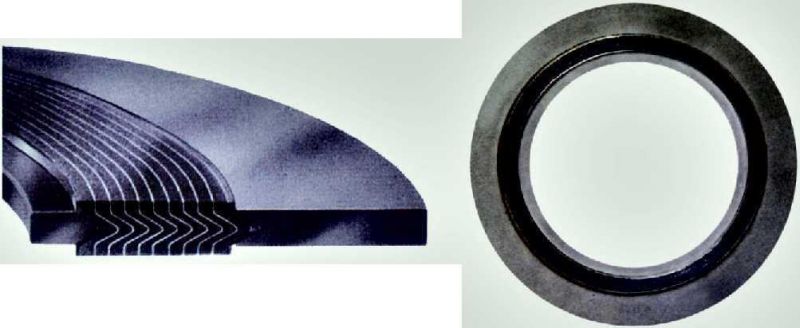 Jzz Top Quality Exhaust Pipe Flange Graphite Donut Gasket