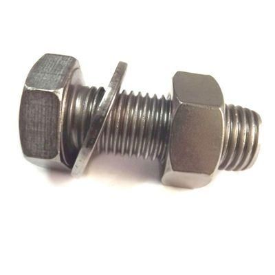 Stainless Steel DIN933 Hex Bolt with DIN934 Hex Nut