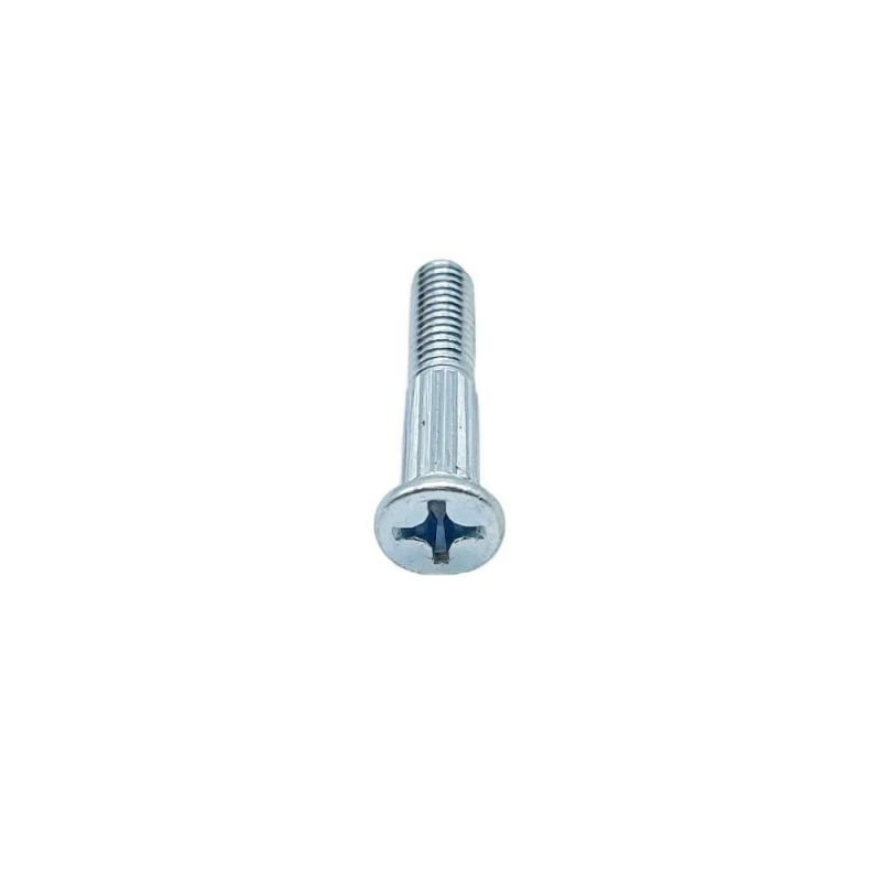 Steel Philips Screw