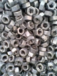 Hex Nuts