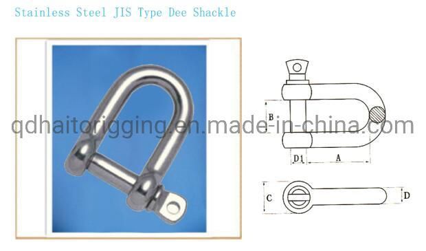 Stainless Steel Large Dee Shackle of European Type