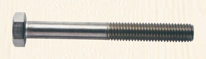 Stainless Steel Hexagonal Head Bolt with Half Thread