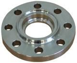 Stainless Steel Flange