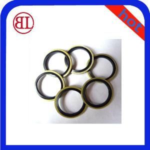 Compound Gasket