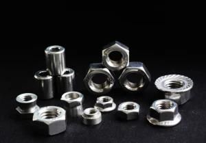 Flat Heanisert Nut