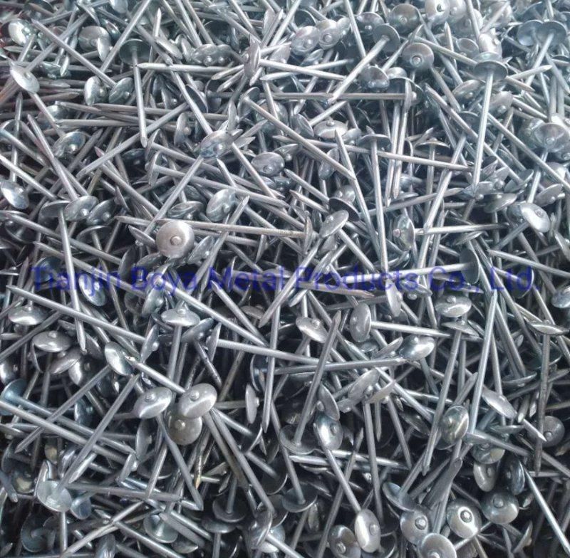 Umbrella Head Nail/Roofing Nail/Umbrella Nail/Clout Nail/Galvanized Roofing Nail/Building Nail/Construction Nail/Hardware/Nails