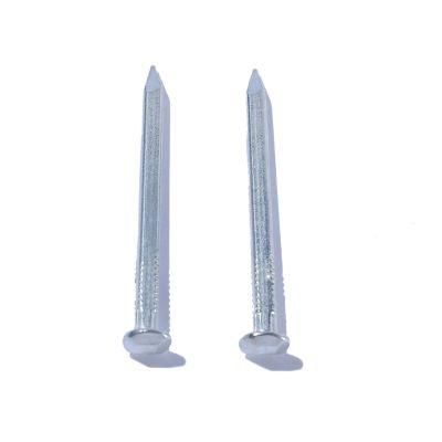 Myanmar Thailand Singapore Market/Galvanized White Zinc Square Boat Nail Concrete Boat Building Nail