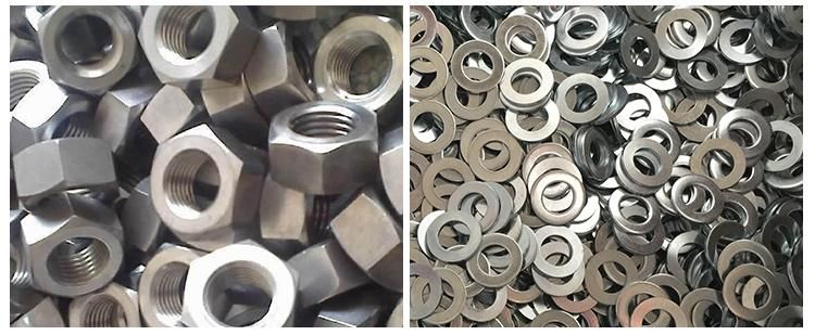 China Suppliers Manufacturing Price Size Hex Bolt Stainless Steel Different Types of Nuts Bolts