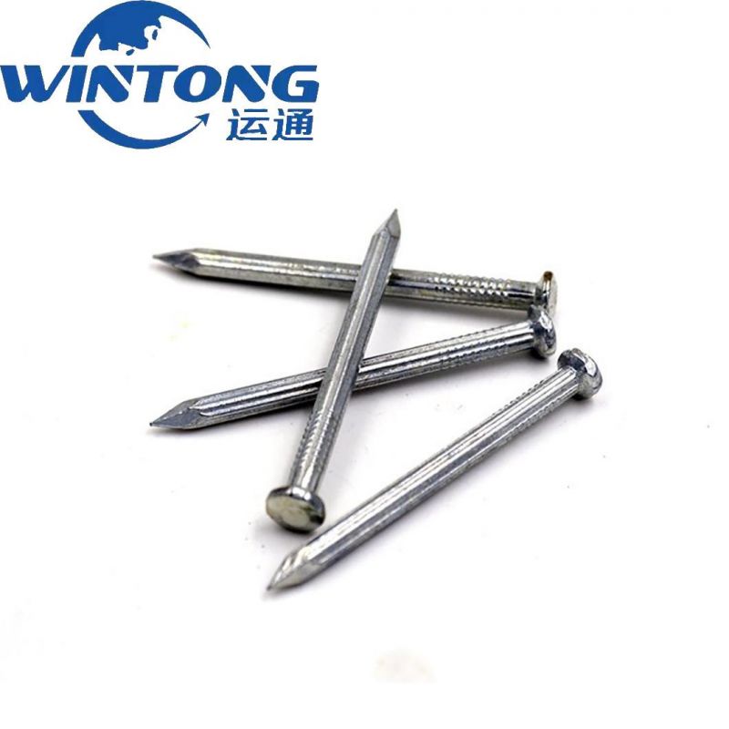 Galvanized Concrete Roofing Nails Wire Nail with High Quality and Competition Price Stainless Steel Nails in China