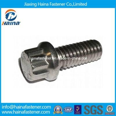 Stainless Steel 12 Point Flange Bolt Made in China