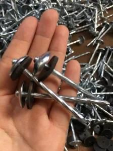 Bwg9*2.5&quot; Bwg12*2.5&quot; Galvanized Umbrella Head Roofing Nails with Plastic Washer