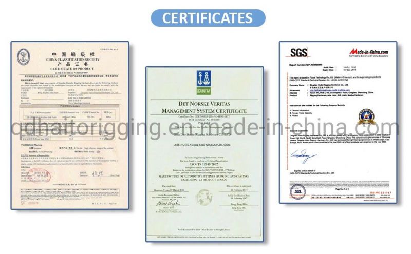 Stainless Steel 304 / 316 Twisted Shackle with Best Selling Lifting