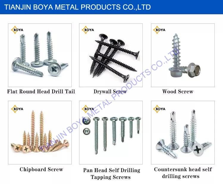 High Quality Steel Zinc-Plated Self Tapping Screw Made in China