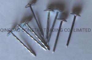 Good Quality Common Wire Umbrella Head Roofing Coil Nails